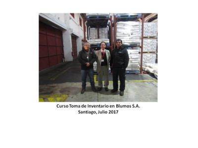 www.jaimesalom.cl_toma_inventario_blumos