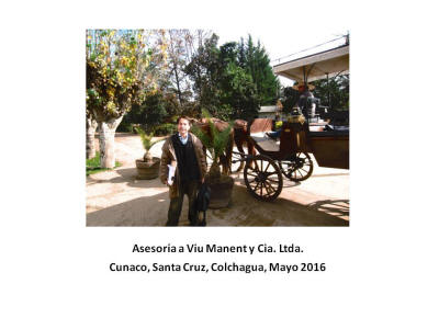 www.jaimesalom.cl_asesoria_viu_manent_27.06.22